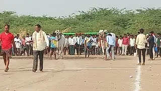 వావిలాల 6పళ్ళ విభాగం బండలాగుడు పోటీల 9వ జత