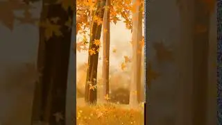 Autumn forest Animated