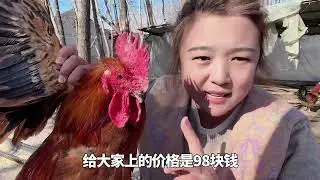 跟公婆同住13年，胖妹跟婆婆又发生激烈争吵。家庭大战爆发了