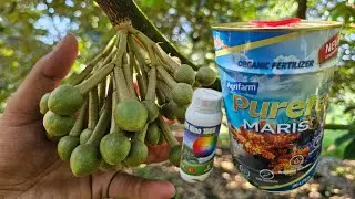 Cẩn Thận Với Mùa Nắng Nóng Năm Nay