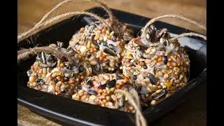 Fabriquer sa nourriture pour oiseaux