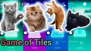 SUPER CUTE CATS😽Tiles Hop😽 #tileshop #cat #cute #cutecat