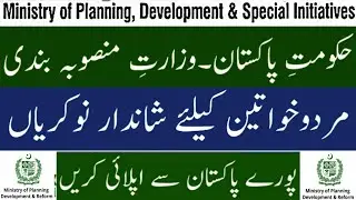 Ministry of Planning Development & Special Initiatives Jobs 2020