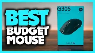 Best Budget Gaming Mouse in 2023 - Which Is The Best For You?