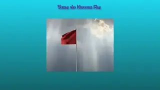 Waving the Moroccan Flag