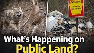 Coyotes and Illegal Dumpers Ruining Deer Hunting Pennsylvania Public Lands? 