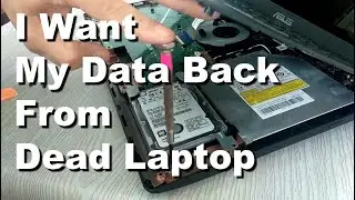 I want My Data Back From Dead Laptop&rsquo;s Hard Drive Recovery, Step by Step How To Copy and Save.