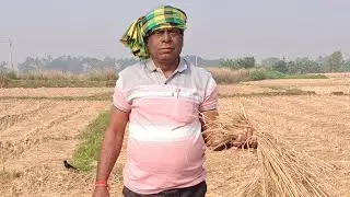 Paddy Field Kentalo(Mallipur)