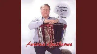 Tango do Girassol