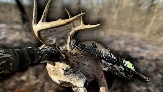 Buzzer Beater Public Land Buck with a Bow | Morning Thermal Tunnels | 12.30.25