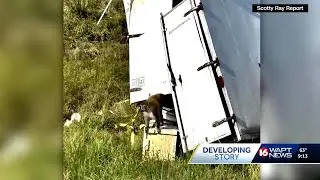 PETA files complaint over Mississippi monkey truck crash, citing animal welfare violations