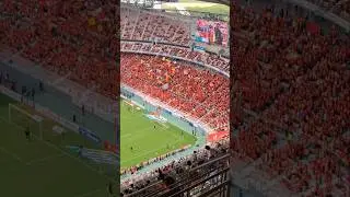 ULTRAS NAGOYA #japan #torcida #japones #nagoyagrampus #j1 #viralvideo #viralshorts #fyp