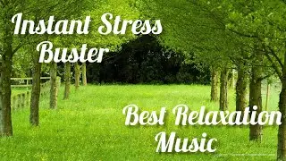 Mind Relaxation Music | Overcome Stress, Depression, Anxiety & Insomnia | Relieve Stress instantly