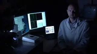 Tissue Engineering -- Nerve Guides