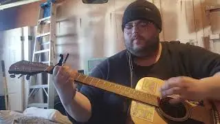 Transdermal Celebration- Ween acoustic cover 