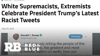 Analyzing the impact of Trump's Twitter rant on extremists online