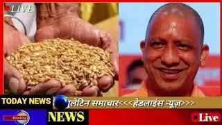 Today Up News 01 February 2026 |Uttar Pradesh News |PM Modi |CM Yogi,Up Breaking News Live|Up News