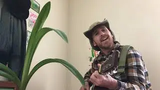 Sing Along - Garden Song