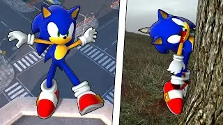 Sonic NPC Ragdoll Physics - Epic NPC Falls Compilation #85