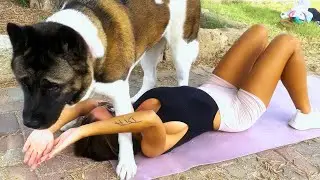 Dog Interrupts My Ab Workout 😂🐶 | Funny Dog Fitness Fail