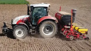 SIEW KUKURYDZY PO TRAWACH 2023 | VADERSTAD TEMPO | STEYR PROFI | NEW HOLLAND T8 | CLAAS AXION