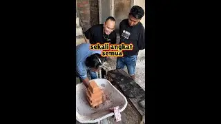 Angkat sekaligus semua batanya pakai 1 tangan