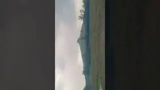 Golapi golapi tori gal gulabi #shortsviral