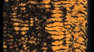 Active bacteria create patterns in liquid crystals