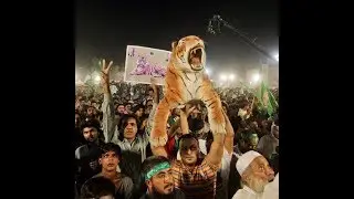PML-N voters celebrate win ahead of polling results