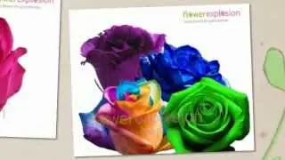 Mother's Day Specials at www.flowerexplosion.com