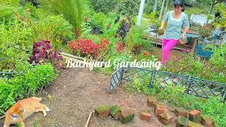 Membuat Restbed 🌹Pindah Tanaman Bunga Ros Jepun | Hiasan Laman Yang Cantik