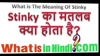 What is the meaning of Stinky in Hindi | Stinky ka matlab kya hota hai