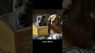 how do you like my new book?