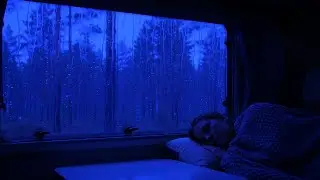 Gentle Rain and Thunder on Window Pane | Sleep Relaxation Video for 3 Hours