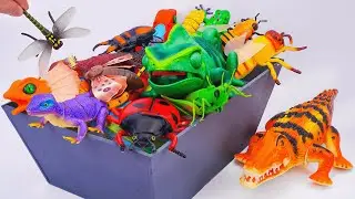 ZURU ROBO ALIVE COLLECTION | UNBOXING Robot Crocodile, New Robo Alive Giant Butterfly | ASMR