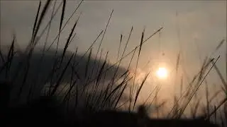 senja menjelang malam...   (background video)