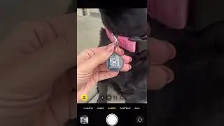 Capture 360 NFC or QR code smart pets ID Tag #tech #pets #petlover #petsmart