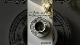 Tea lover's ....shairy ❤️❤️#love #shaayri #sad #ishq #poetry