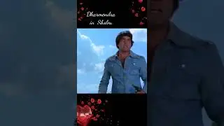 Dialogue | चुन चुन के मारुँगा | Chun Chun ke marunga | Darmendra  | dialogue status | great dialogue