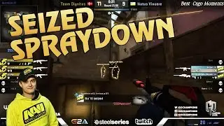 Seized Spray Master vs Dignitas