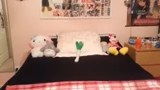 OTAKU/KPOP ROOM TOUR 2014 UPDATE
