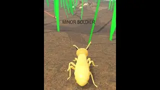 Roblox Kingdom of The Termite minor soldier gameplay