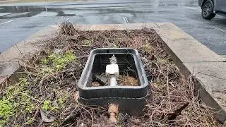 How to Open and Close your Main Water Valve