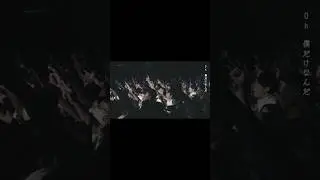 【Live Lyric Video公開】Reversi／Play.Goose #PlayGoose #shorts #live