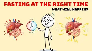 You’re Fasting Wrong: The Hidden Biological Clock That Controls Fat Loss