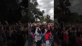 Morat en los Rosedales