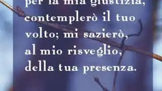 Il suo volto era coperto
