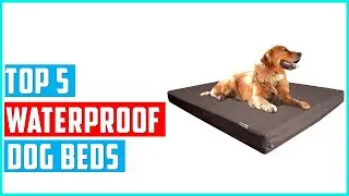 ✅Best Waterproof Dog Beds 2023 | Top 5 Dog Beds Reviews & Top Picks