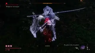 Sekiro - Corrupted Monk (ghost) no damage (charmless + demon bell)