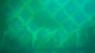 Мальки Куджаку